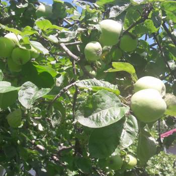 Продается Участок, 0 м²