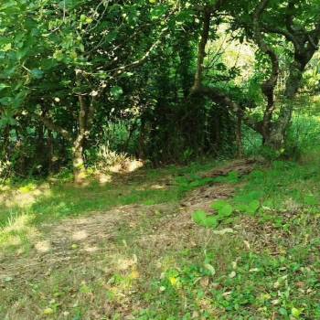 Продается Участок, 730 м²