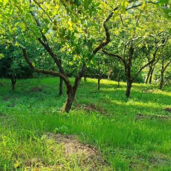 Продается Участок, 730 м²