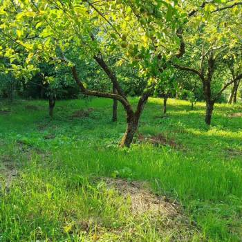 Продается Участок, 730 м²