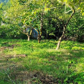 Продается Участок, 730 м²