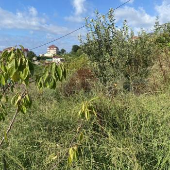 Продается Участок, 680 м²