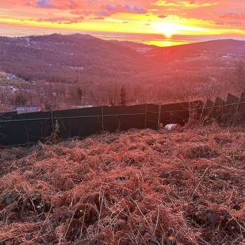 Продается Участок, 530 м²