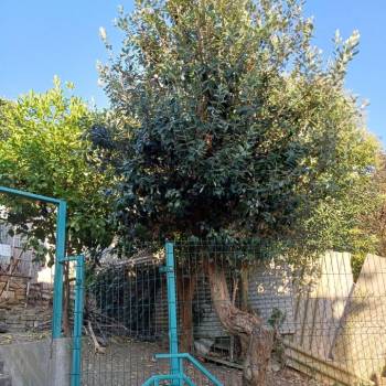 Продается Дом, 98 м²