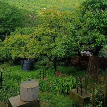 Продается Участок, 880 м²