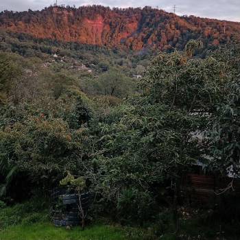 Продается Участок, 880 м²