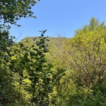 Продается Участок, 400 м²