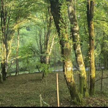 Продается Участок, 1000 м²