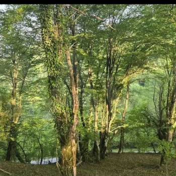 Продается Участок, 1000 м²