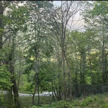 Продается Участок, 1000 м²