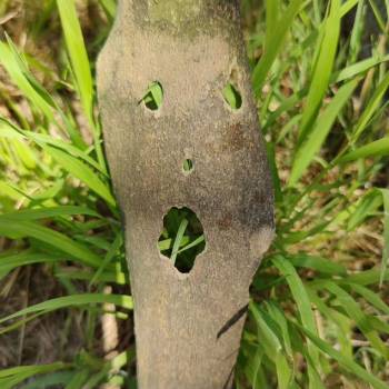 Продается Участок, 490 м²