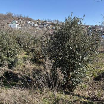 Продается Участок, 1500 м²