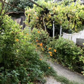 Продается Участок, 430 м²