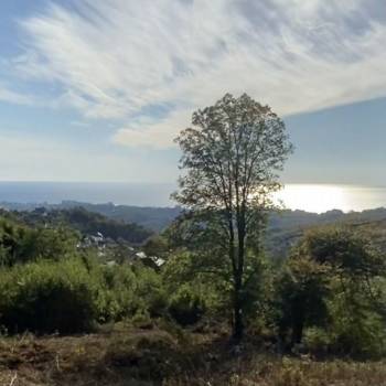 Продается Участок, 5250 м²