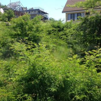 Продается Участок, 600 м²