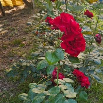 Продается Дом, 90 м²