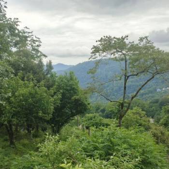 Продается Участок, 970 м²