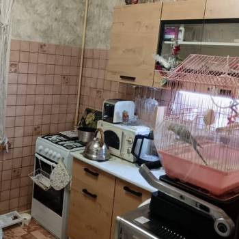 Продается 1-комнатная квартира, 30,9 м²