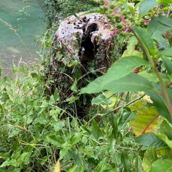 Продается Участок, 1000 м²