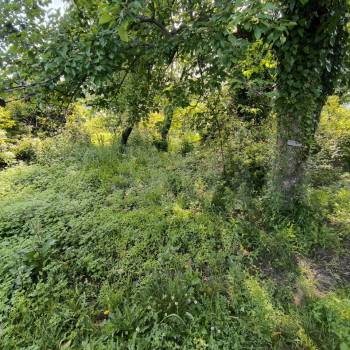 Продается Участок, 420 м²