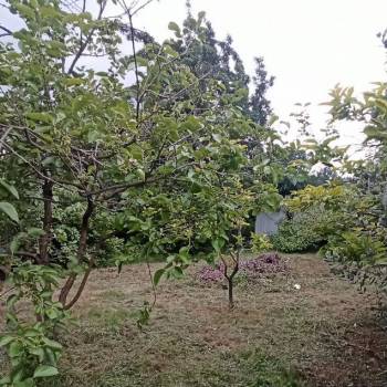 Продается Участок, 420 м²