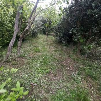 Продается Участок, 420 м²