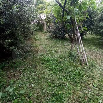 Продается Участок, 420 м²