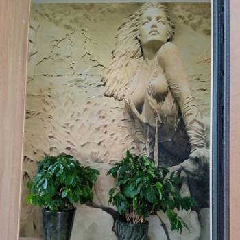 Продается 1-комнатная квартира, 34 м²