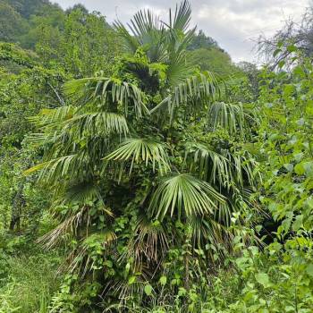 Продается Участок, 660 м²