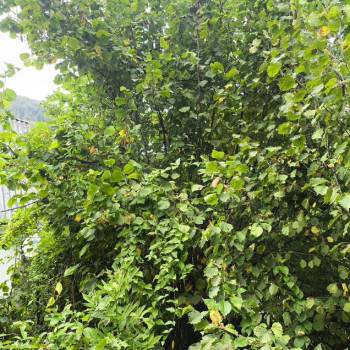 Продается Участок, 660 м²