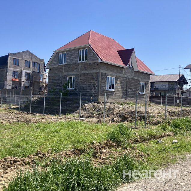 Фотография №2