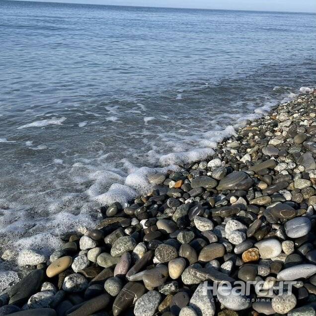 Фотография №2