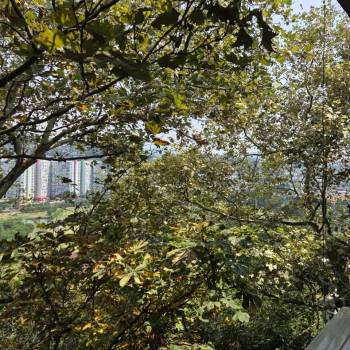 Продается 1-комнатная квартира, 14,9 м²