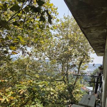 Продается 1-комнатная квартира, 14,9 м²