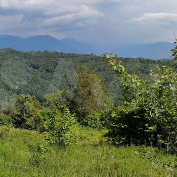 Продается Участок, 800 м²