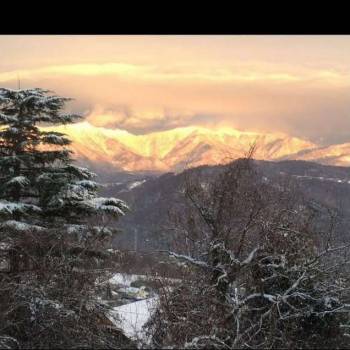 Продается Участок, 800 м²