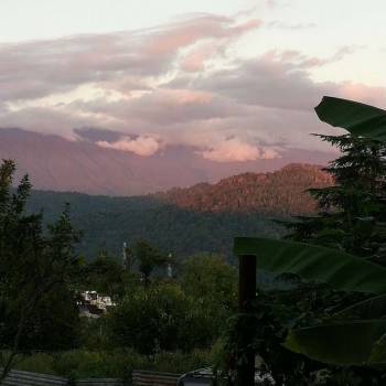 Продается Участок, 800 м²