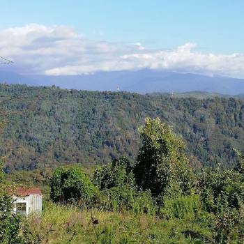 Продается Участок, 800 м²