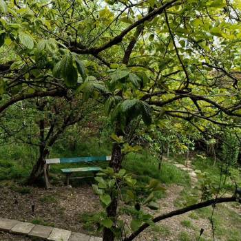 Продается Дом, 165 м²