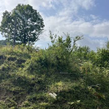 Продается Участок, 500 м²