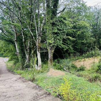 Продается Участок, 1200 м²