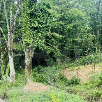 Продается Участок, 1200 м²