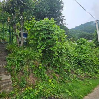 Продается Участок, 530 м²