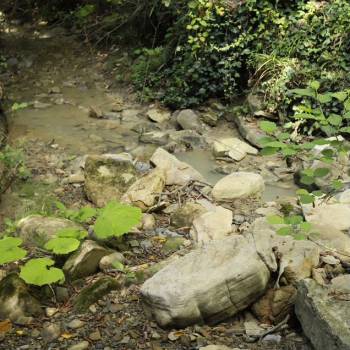 Продается Участок, 500 м²