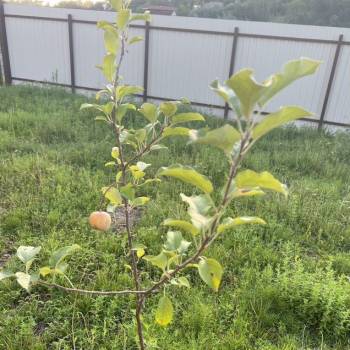 Продается Дом, 114 м²