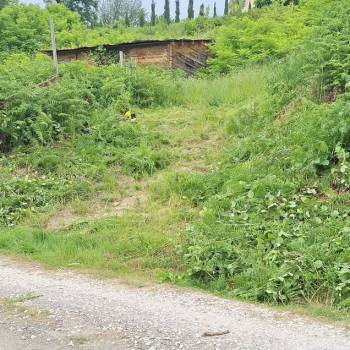 Продается Участок, 1000 м²