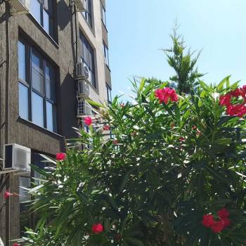 Продается 2-х комнатная квартира, 53,5 м²