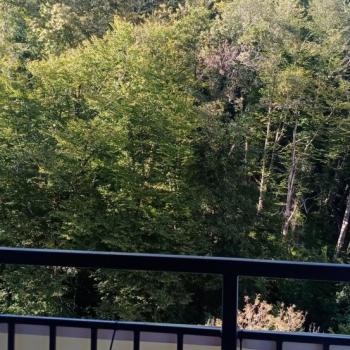 Продается 1-комнатная квартира, 25 м²