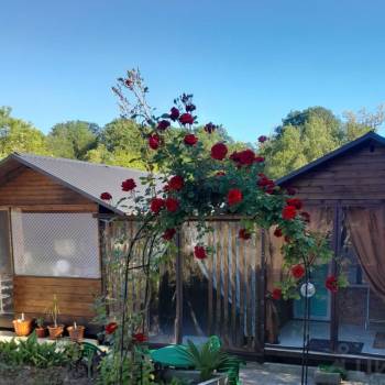 Продается Участок, 600 м²