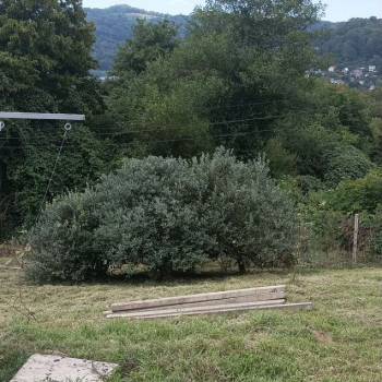 Продается Дом, 287 м²